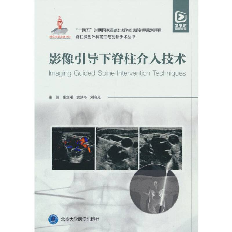 影像引导下脊柱介入技术（脊柱微创外科前沿与创新手术丛书）