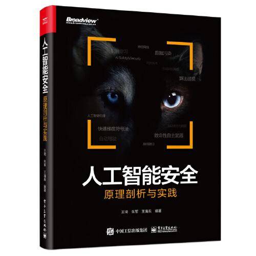 人工智能安全：原理剖析与实践