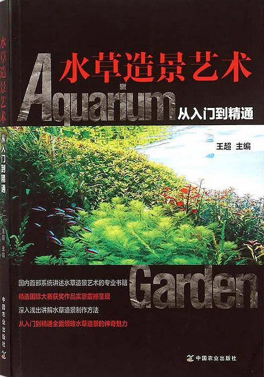 水草造景艺术