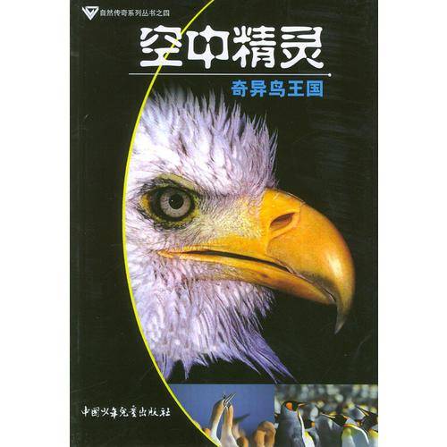 空中精灵