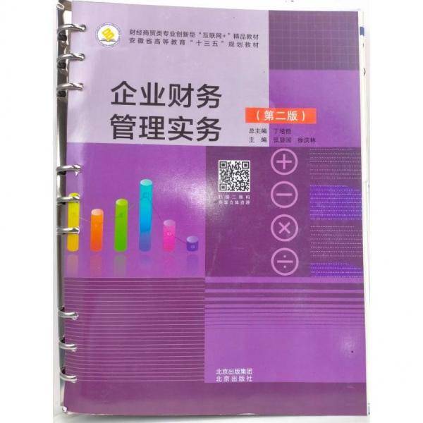 企业财务管理实务（第二版） 丁增稳