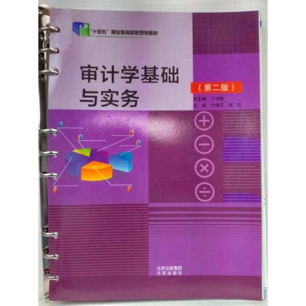 十四五 审计学基础与实务（第二版）9787200169195
