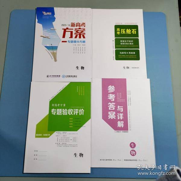 2025版新高考方案 专题增分方略