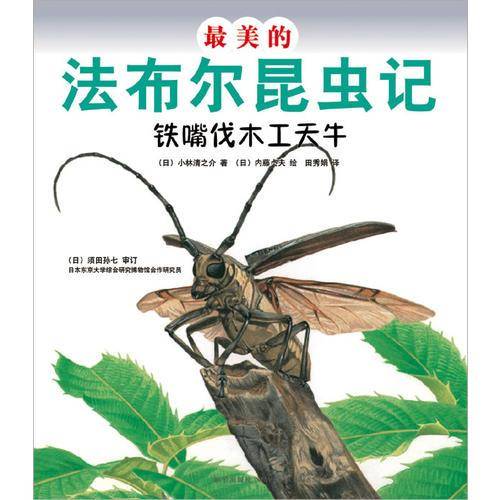 最美的法布尔昆虫记