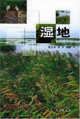 湿地