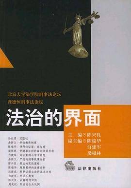 法治的界面
