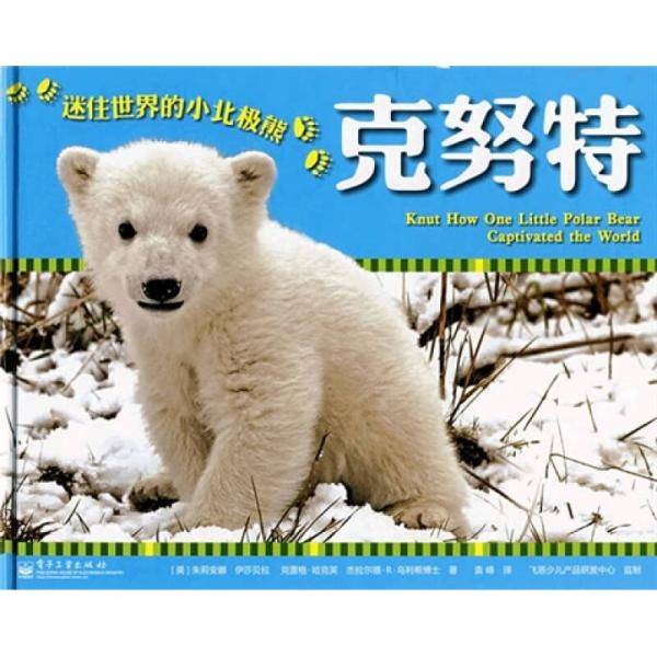克努特