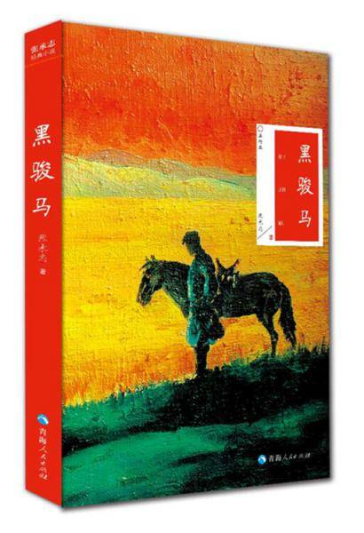 黑骏马