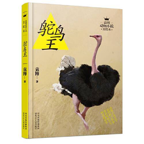 袁博动物小说美绘本-鸵鸟王