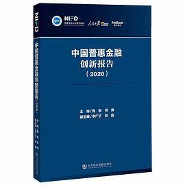 中国普惠金融创新报告（2020）