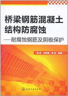 桥梁钢筋混凝土结构防腐蚀