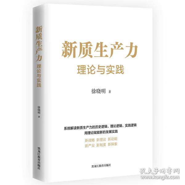 新质生产力：理论与实践