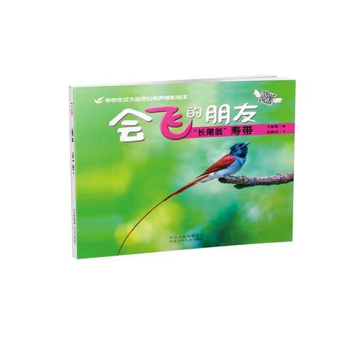 长尾翁寿带-会飞的朋友