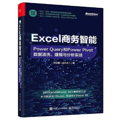 Excel商务智能：Power Query和Power Pivot数据清洗、建模与分析实战