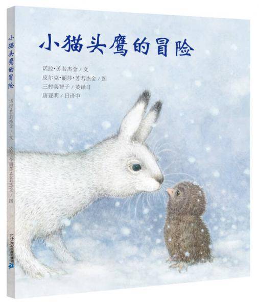 小猫头鹰的冒险