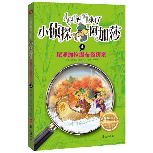 尼亚加拉瀑布盗窃案