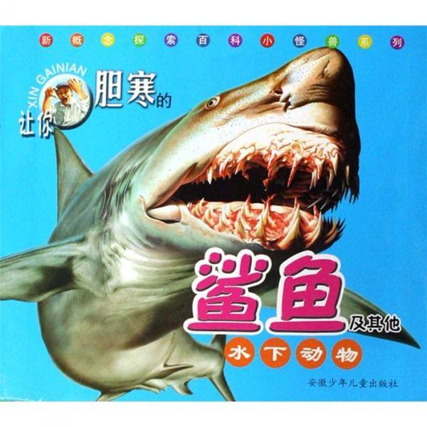 让你胆寒的鲨鱼及其他水下动物