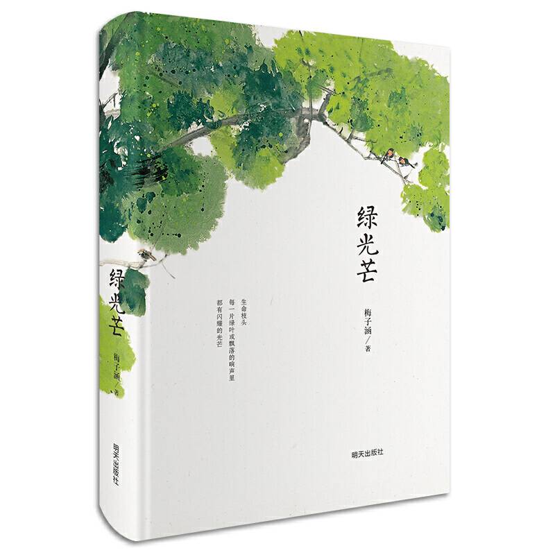 绿光芒
