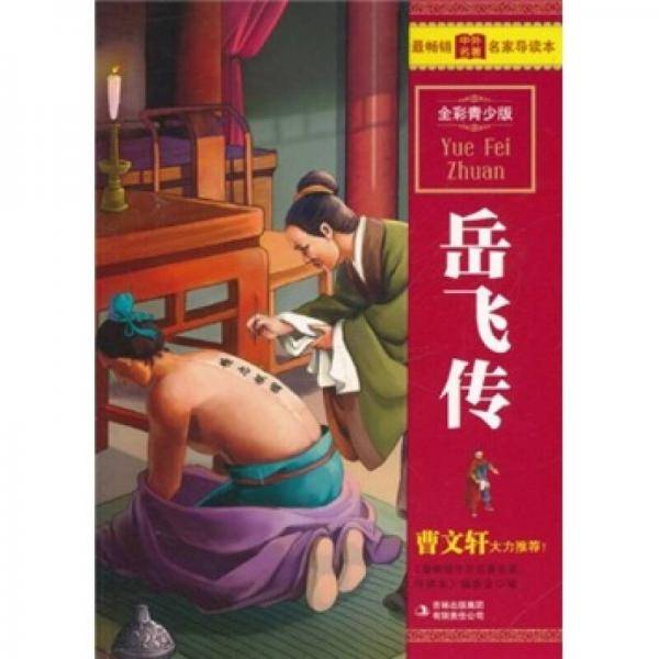 岳飞传
