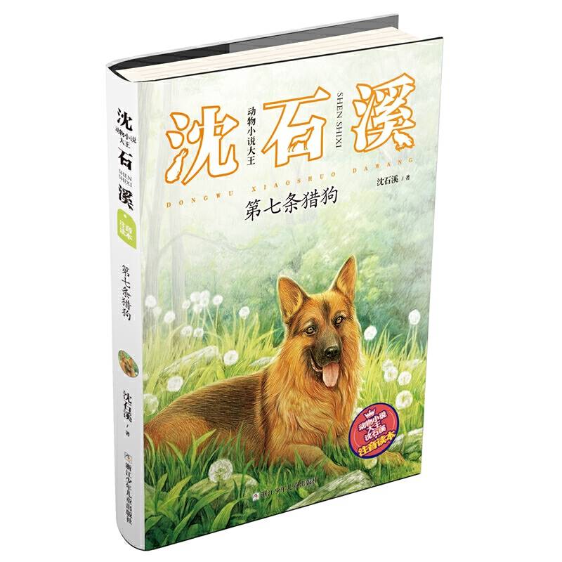 动物小说大王沈石溪・注音读本：第七条猎狗
