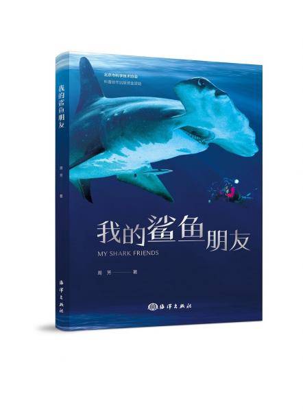 我的鲨鱼朋友