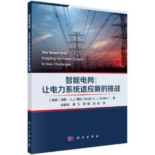 智能电网：应对电力系统新挑战的先进技术