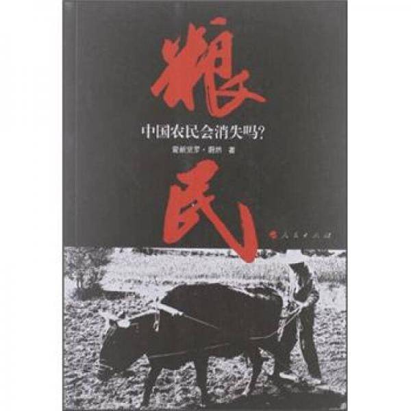 粮民：中国农民会消失吗？