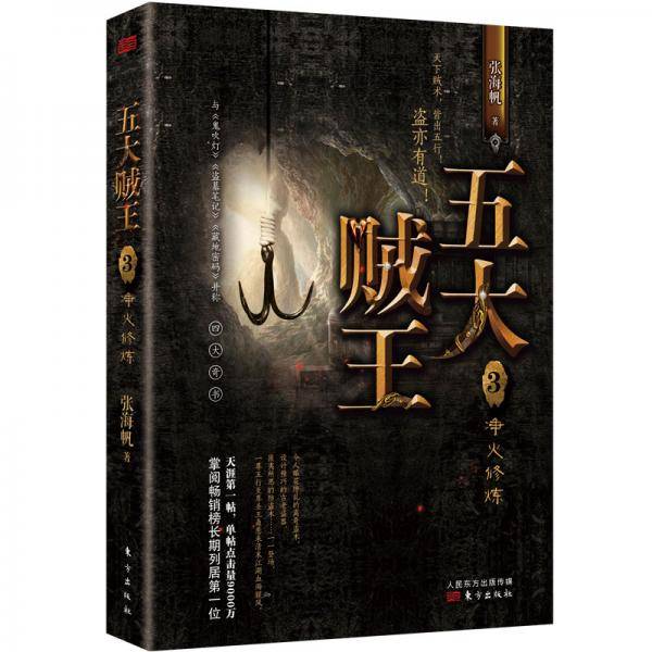 五大贼王3