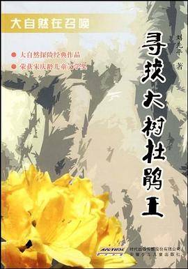 大自然在召唤 寻找大树杜鹃王
