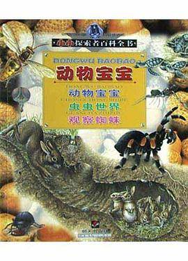 动物宝宝