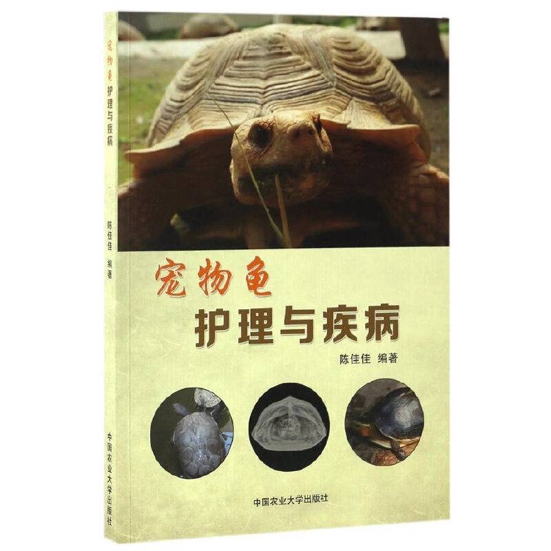宠物龟护理与疾病