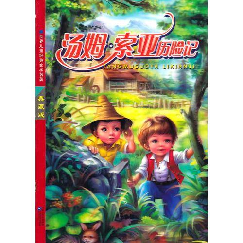 汤姆・索亚历险记