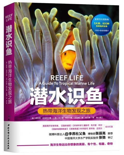 潜水识鱼