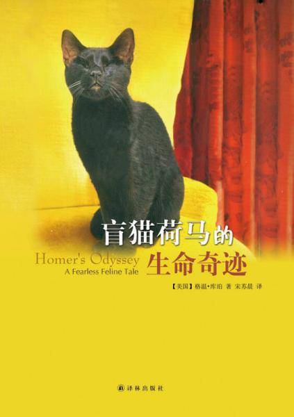 盲猫荷马的生命奇迹