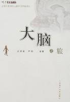 大脑之旅
