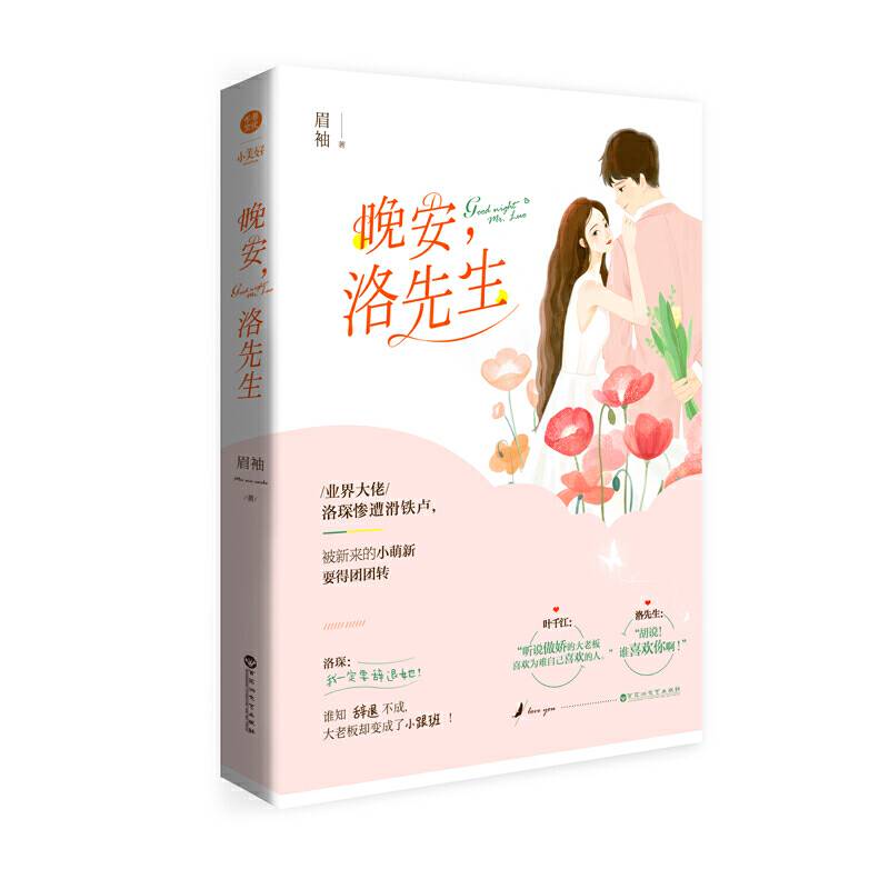 晚安，洛先生 眉袖 恨铁不成钢大老板VS伪善多面小萌新 悬爱版白夜追凶 现代言情青春小说 千寻文化