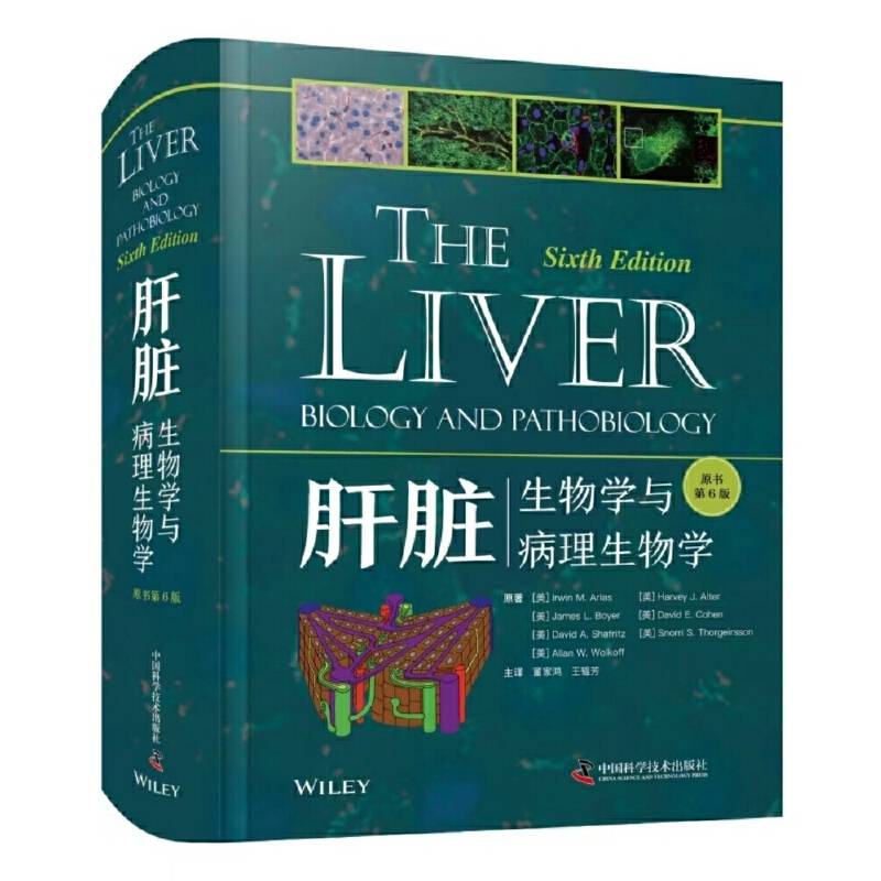 肝脏：生物学与病理生物学(原书第6版）