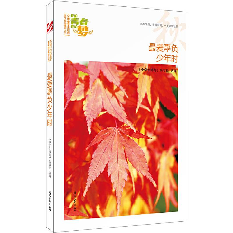 我的青春我的梦：最爱辜负少年时