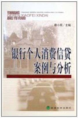 银行个人消费信贷案例与分析