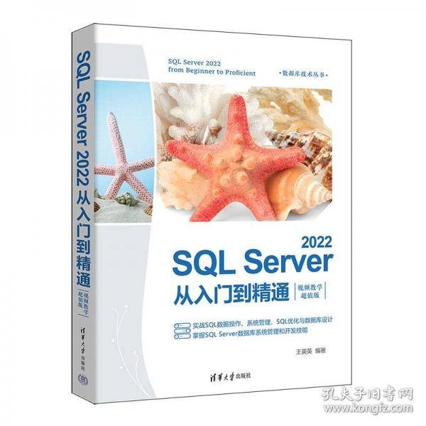 SQL Server 2022从入门到精通