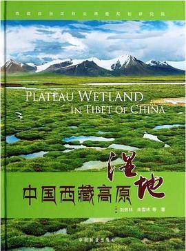 中国西藏高原湿地