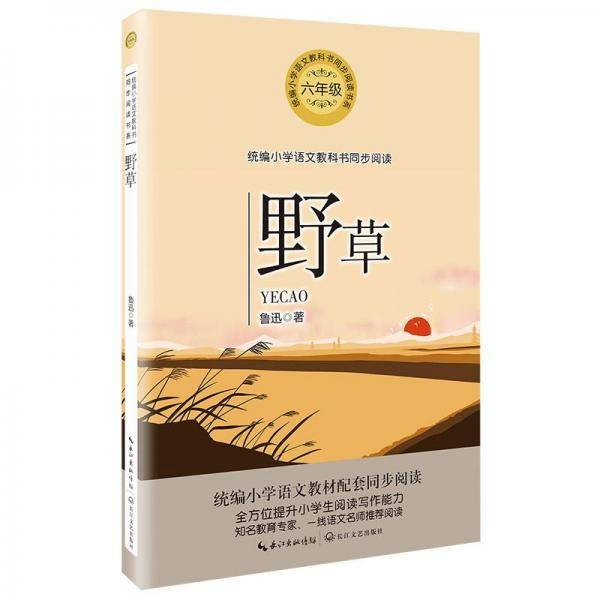 野草（统编小学语文教科书同步阅读书系）