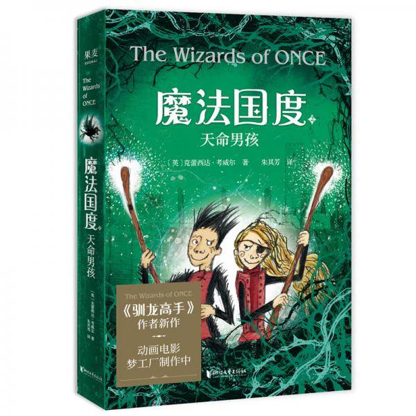 魔法国度：天命男孩