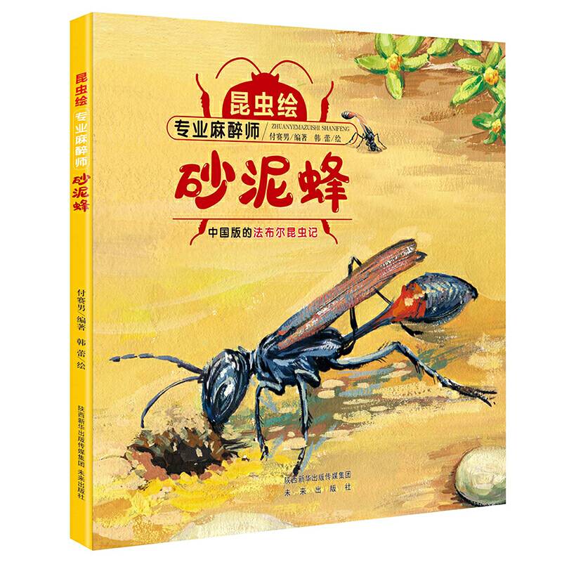 昆虫绘 砂泥蜂