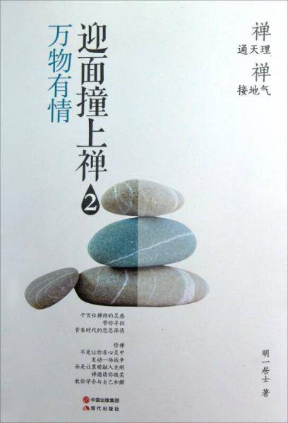 迎面撞上禅2