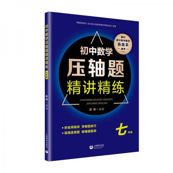初中数学压轴题精讲精练