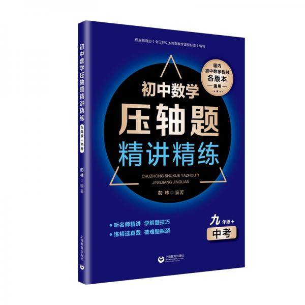 初中数学压轴题精讲精练