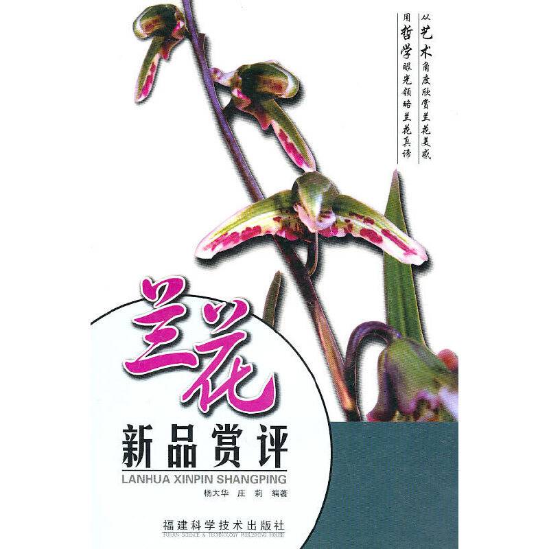 兰花新品赏评