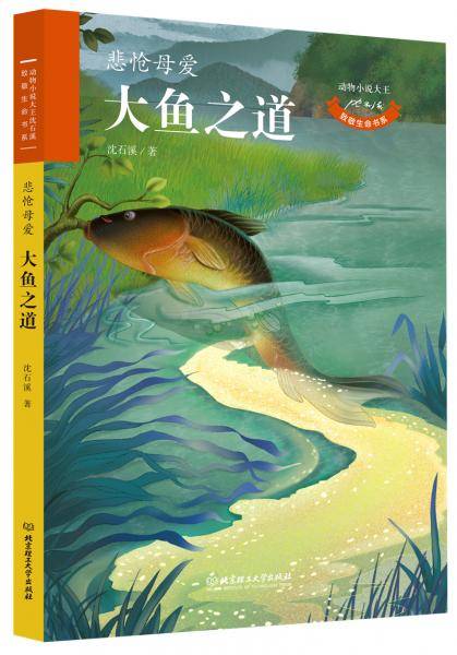 动物小说大王沈石溪・致敬生命书系――大鱼之道