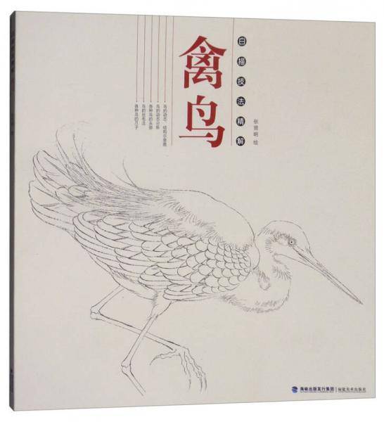 禽鸟：白描技法精解